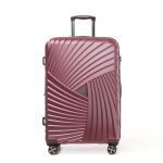 Business Hard Luggage